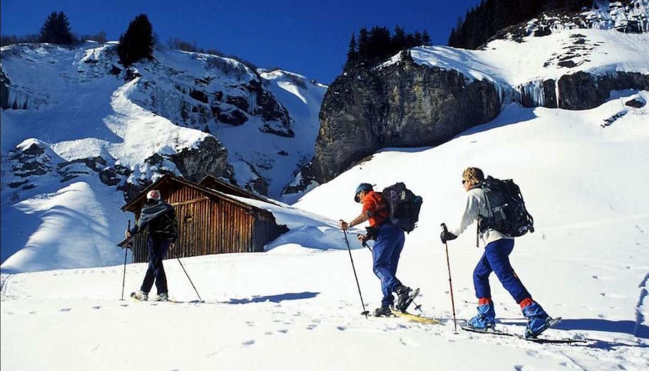 Les Aiguilles De Warens Villa Combloux Exterior foto